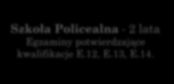 GIMNAZJUM JAK ZOSTAĆ TECHNIKIEM INFORMATYKIEM? Liceum ogólnokształcące - 3 lata Szkoła Policealna - 2 lata Egzaminy potwierdzające kwalifikacje E.12, E.13, E.14.