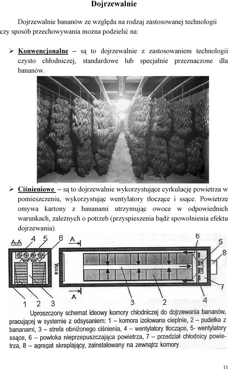 Ciśnieniowe są to dojrzewalnie wykorzystujące cyrkulację powietrza w pomieszczeniu, wykorzystując wentylatory tłoczące i ssące.
