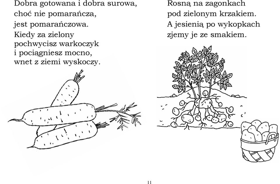 Kiedy za zielony pochwycisz warkoczyk i pociągniesz mocno,