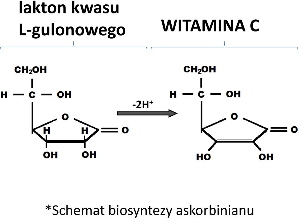 WITAMINA C -2H +