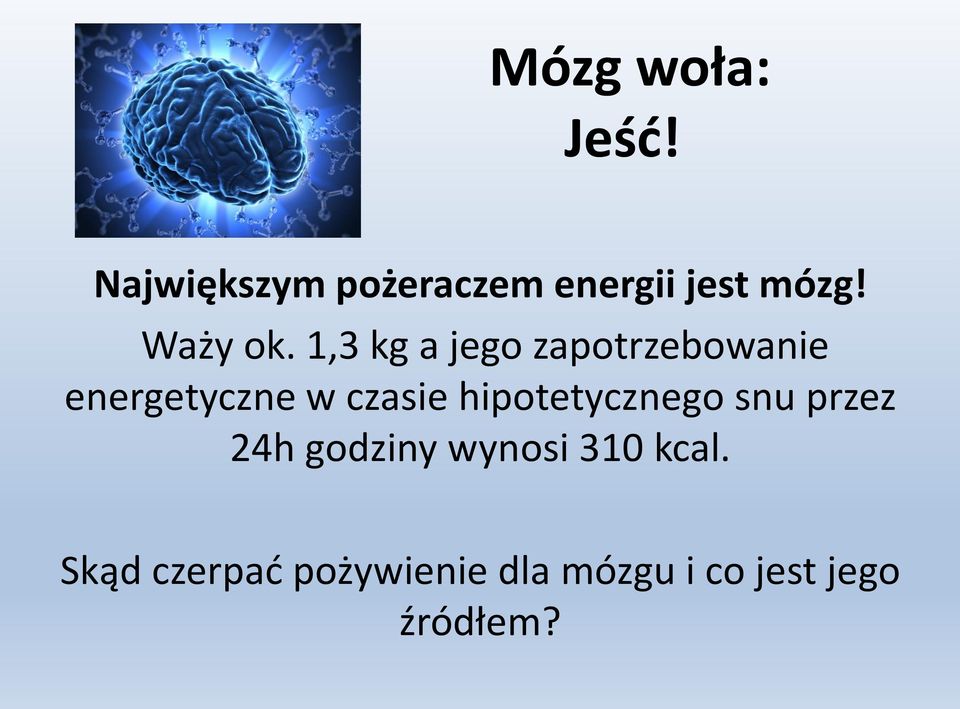 1,3 kg a jego zapotrzebowanie energetyczne w czasie