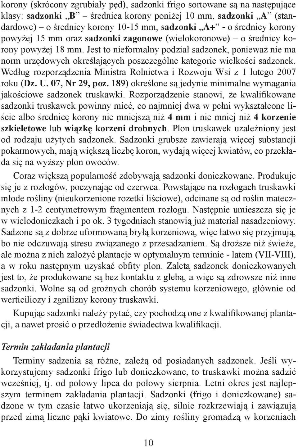 Jest to nieformalny podział sadzonek, ponieważ nie ma norm urzędowych określających poszczególne kategorie wielkości sadzonek.