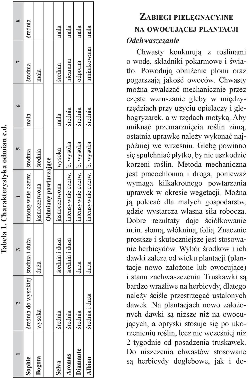 intensywnie czerw. b. wysoka średnia nieznana mała Diamante średnia duża intensywnie czerw. b. wysoka średnia odporna mała Albion średnia i duża duża intensywnie czerw. b. wysoka średnia umiarkowana mała na owocującej plantacji Odchwaszczanie Chwasty konkurują z roślinami o wodę, składniki pokarmowe i światło.