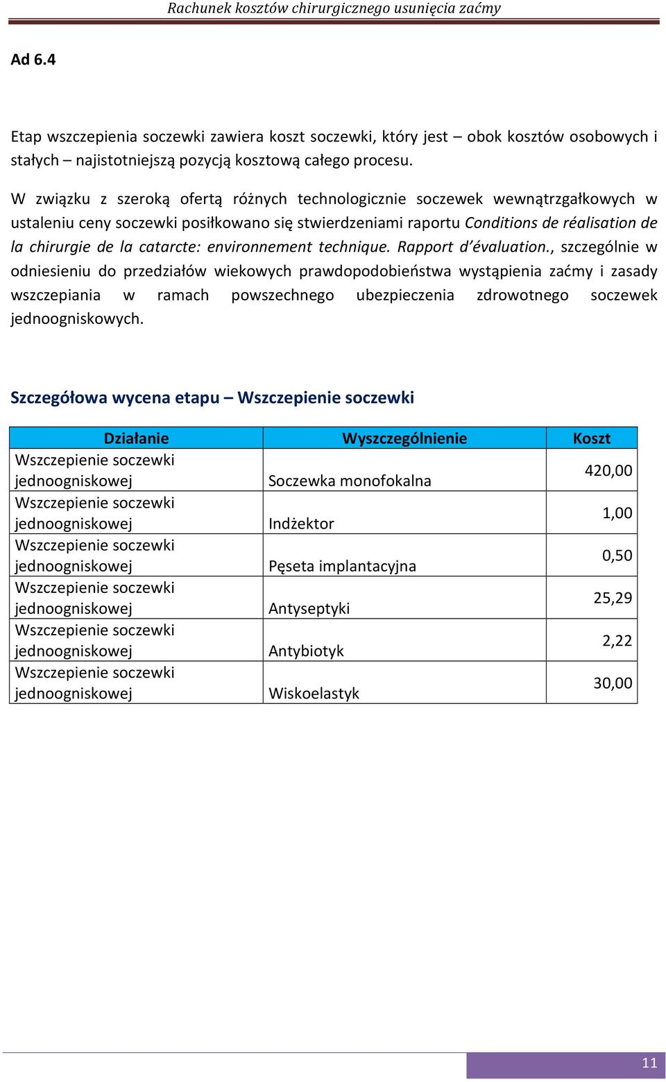 catarcte: environnement technique. Rapport d évaluation.