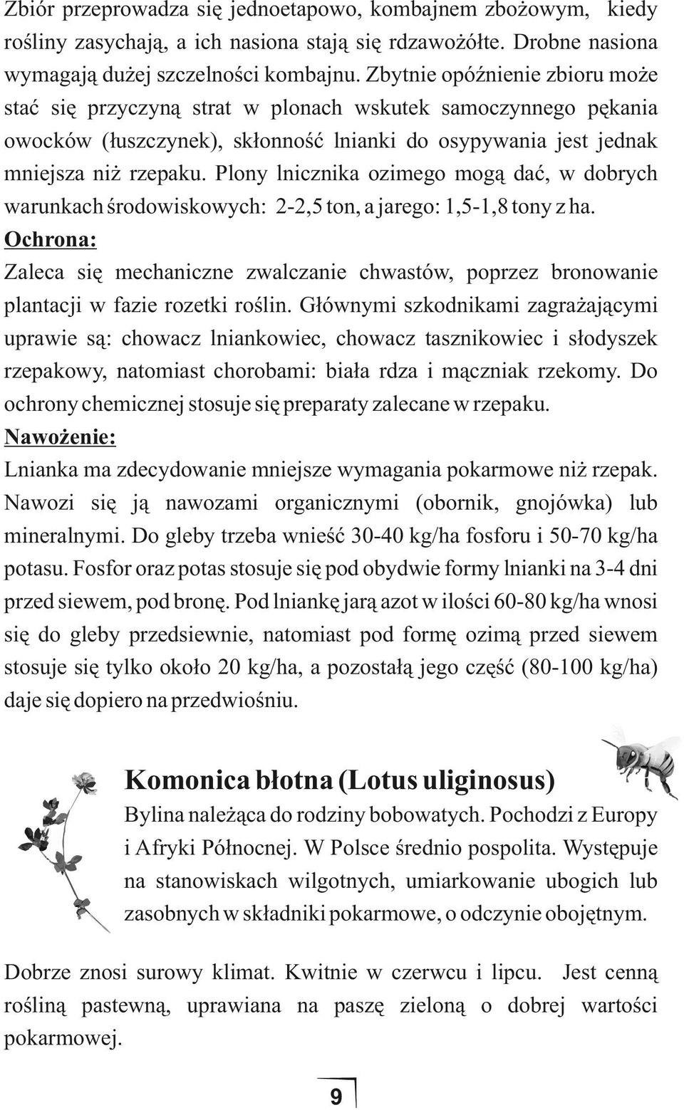 Plony lnicznika ozimego mogą dać, w dobrych warunkach środowiskowych: 2-2,5 ton, a jarego: 1,5-1,8 tony z ha.