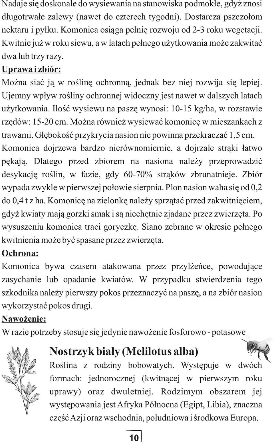 Uprawa i zbiór: Można siać ją w roślinę ochronną, jednak bez niej rozwija się lepiej. Ujemny wpływ rośliny ochronnej widoczny jest nawet w dalszych latach użytkowania.