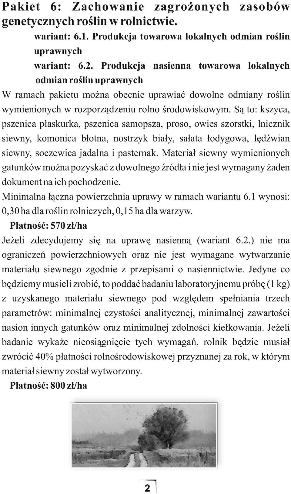 Są to: kszyca, pszenica płaskurka, pszenica samopsza, proso, owies szorstki, lnicznik siewny, komonica błotna, nostrzyk biały, sałata łodygowa, lędźwian siewny, soczewica jadalna i pasternak.