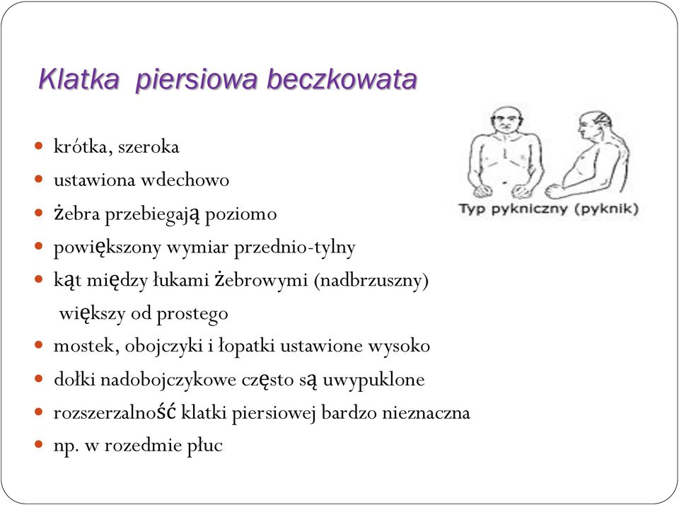 większy od prostego mostek, obojczyki i łopatki ustawione wysoko dołki nadobojczykowe