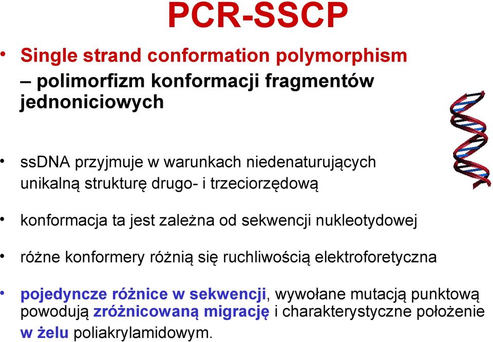 od sekwencji nukleotydowej różne konformery różnią się ruchliwością elektroforetyczna pojedyncze różnice w