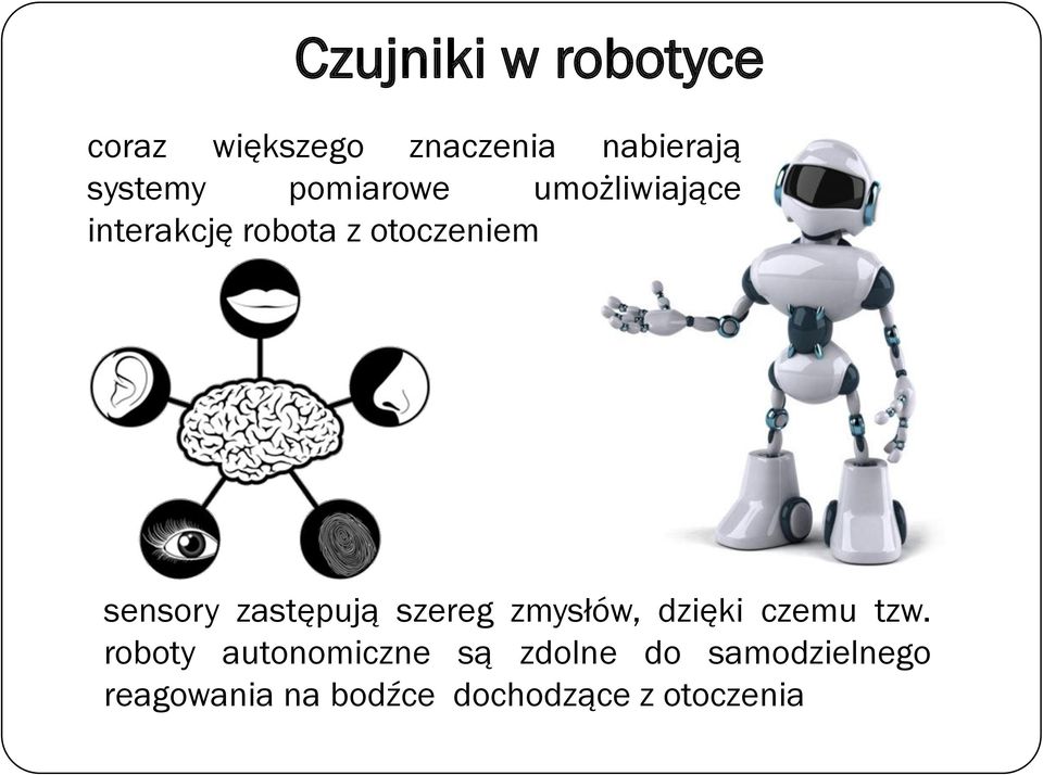 zastępują szereg zmysłów, dzięki czemu tzw.