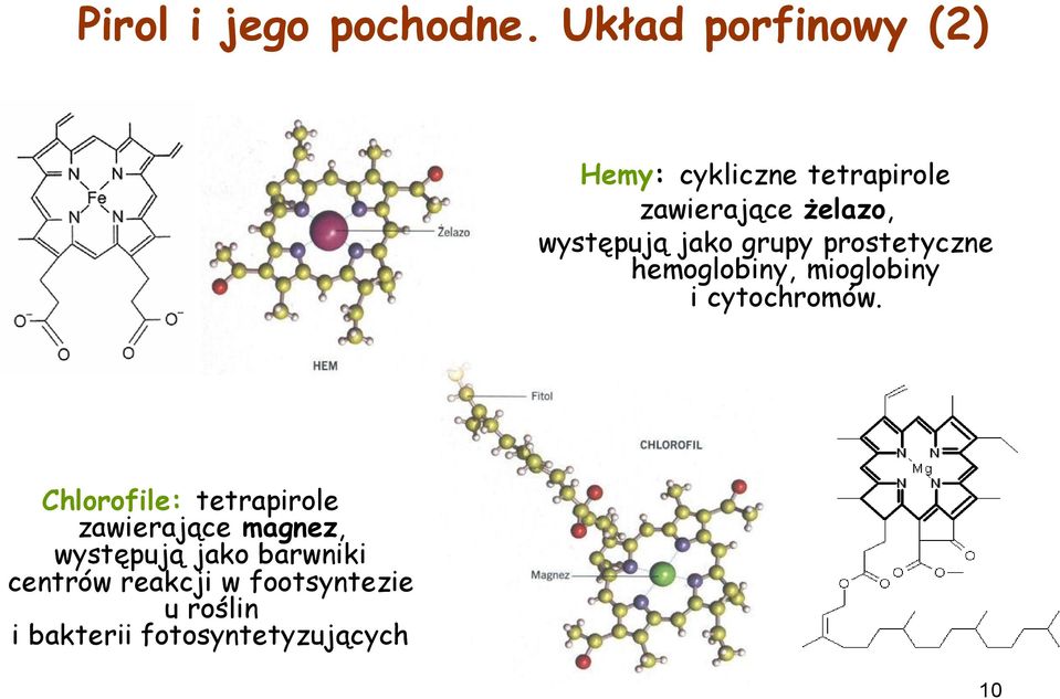 występują jako grupy prostetyczne hemoglobiny, mioglobiny i cytochromów.