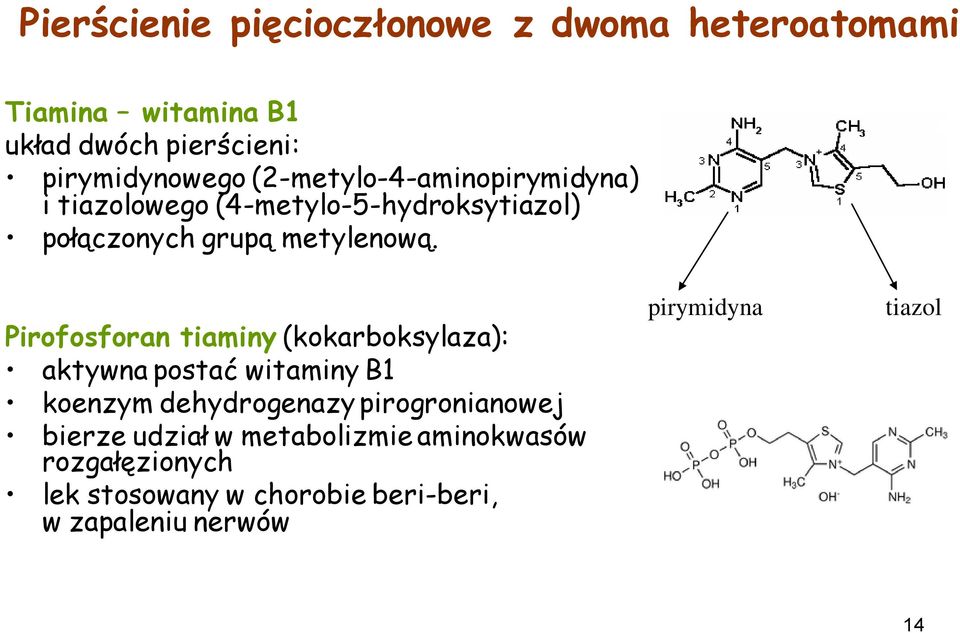 Pirofosforan tiaminy (kokarboksylaza): aktywna postać witaminy B1 koenzym dehydrogenazy pirogronianowej bierze