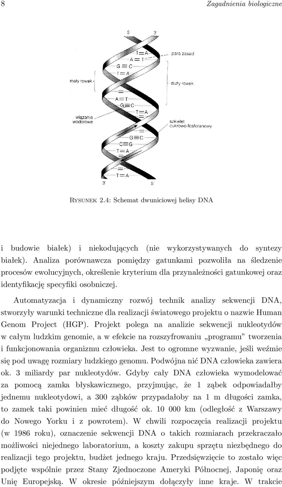 Automatyzacja i dynamiczny rozwój technik analizy sekwencji DNA, stworzyły warunki techniczne dla realizacji światowego projektu o nazwie Human Genom Project (HGP).