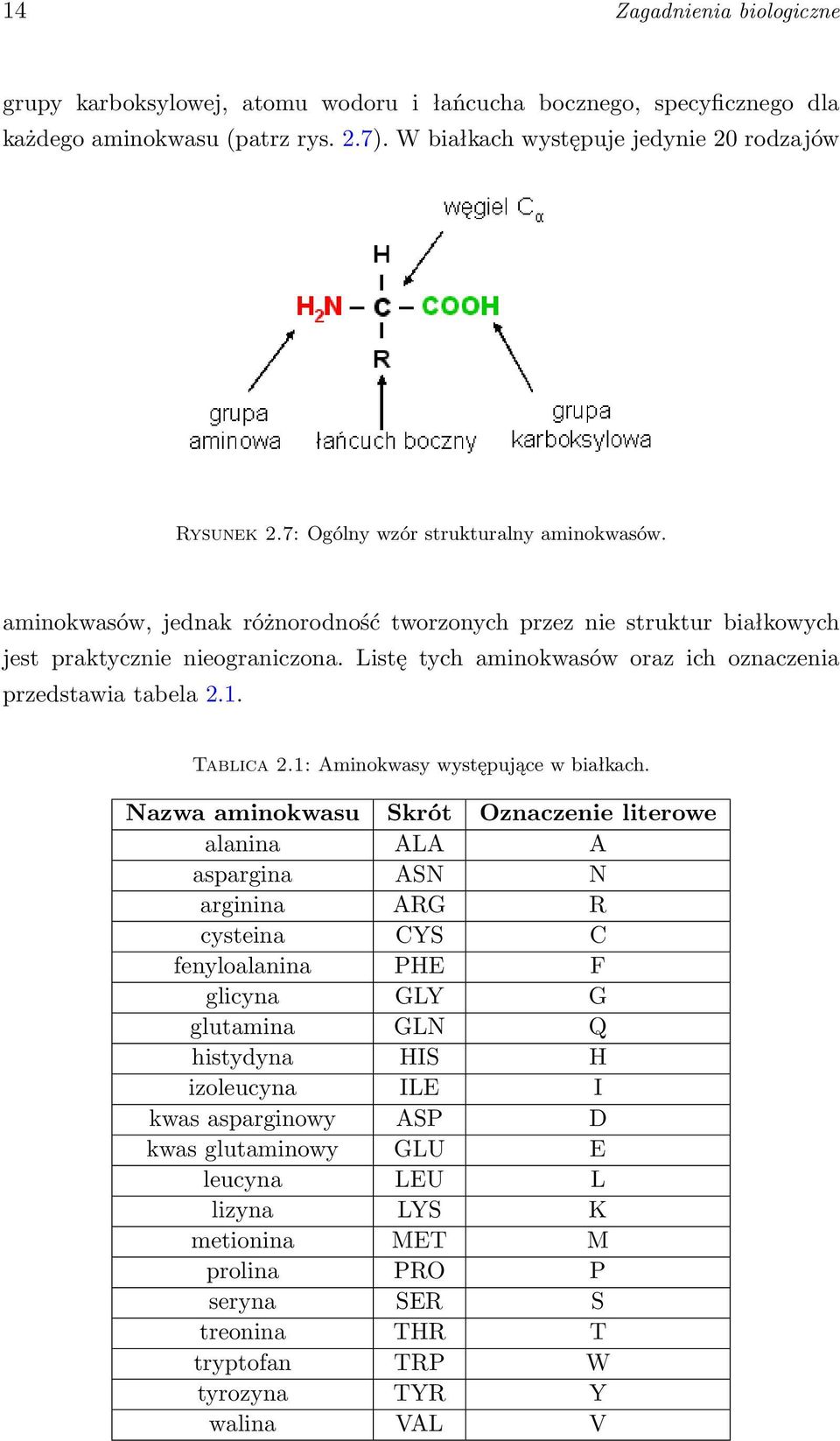 Listę tych aminokwasów oraz ich oznaczenia przedstawia tabela 2.1. Tablica 2.1: Aminokwasy występujące w białkach.