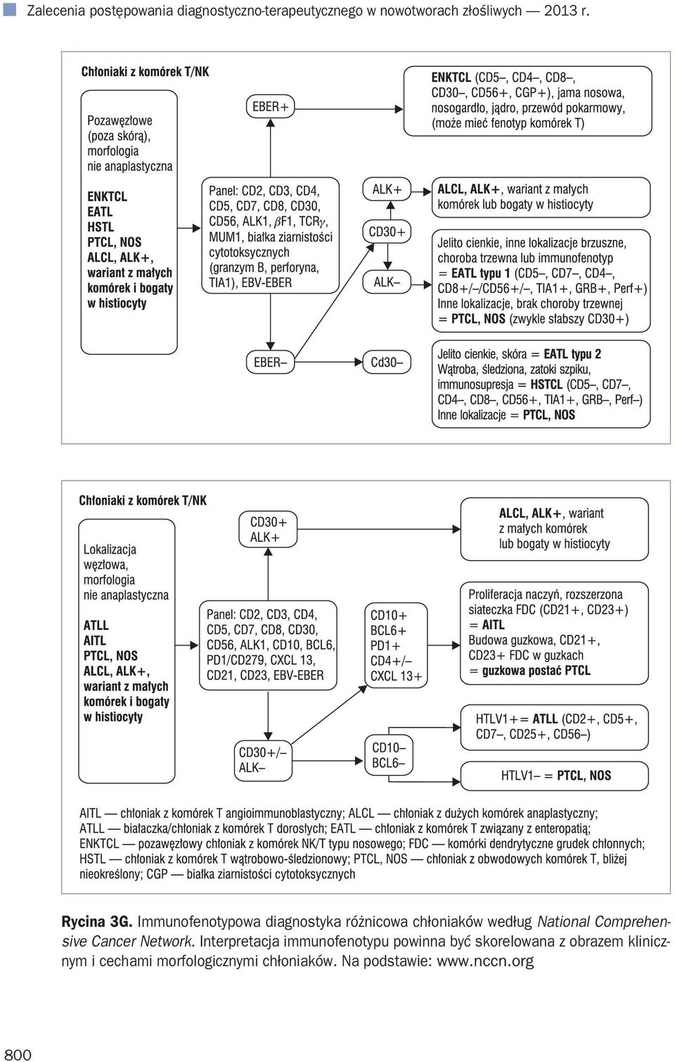 Immunofenotypowa diagnostyka różnicowa chłoniaków według National Comprehensive