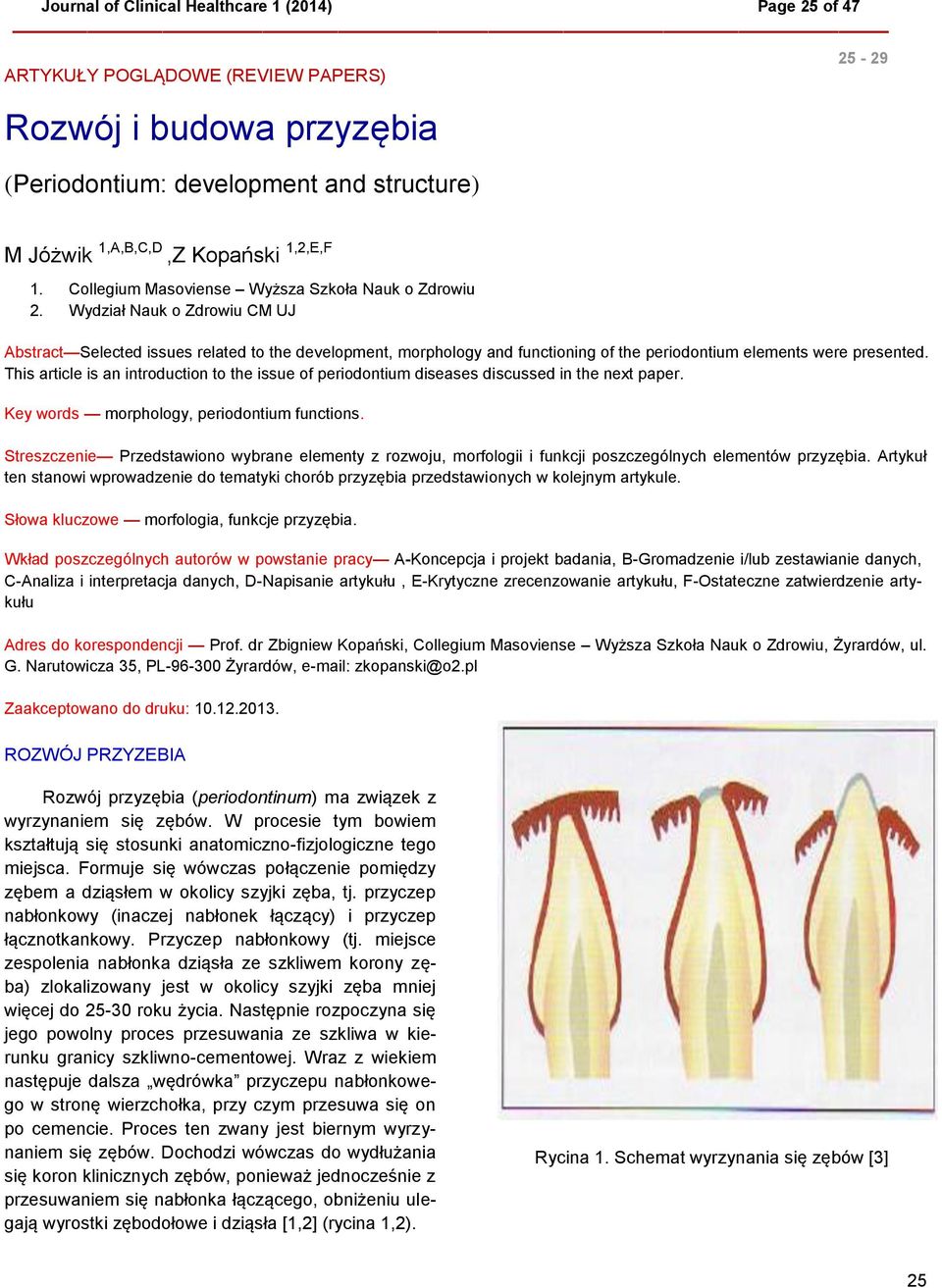 Wydział Nauk o Zdrowiu CM UJ Abstract Selected issues related to the development, morphology and functioning of the periodontium elements were presented.