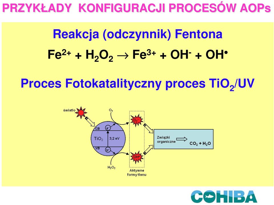 Fe 2+ + H 2 O 2 Fe 3+ + OH - + OH