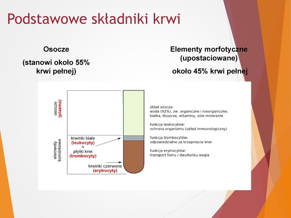 pełnej) Elementy morfotyczne