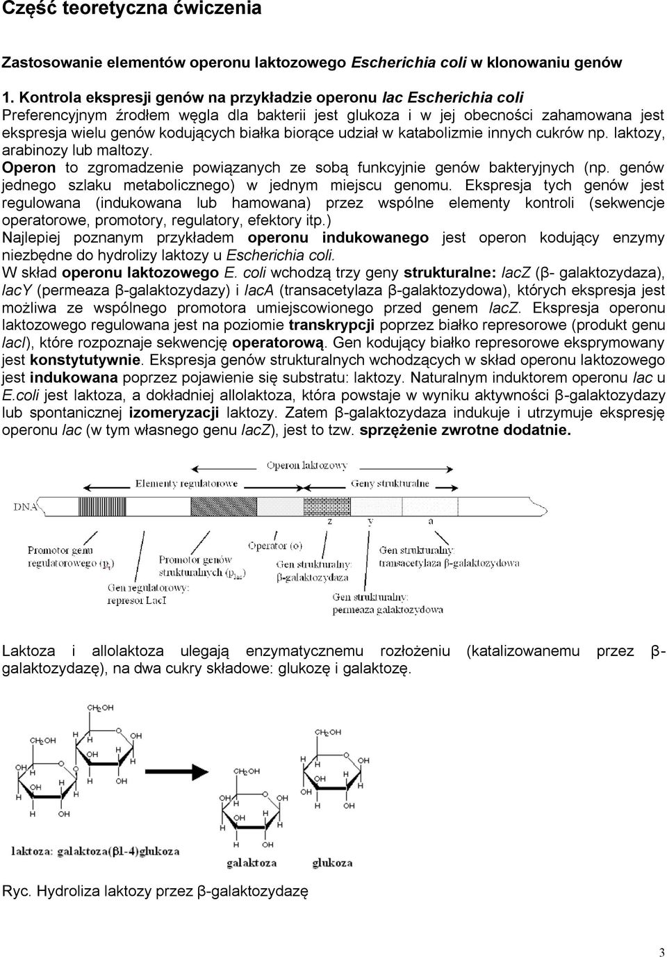 biorące udział w katabolizmie innych cukrów np. laktozy, arabinozy lub maltozy. Operon to zgromadzenie powiązanych ze sobą funkcyjnie genów bakteryjnych (np.