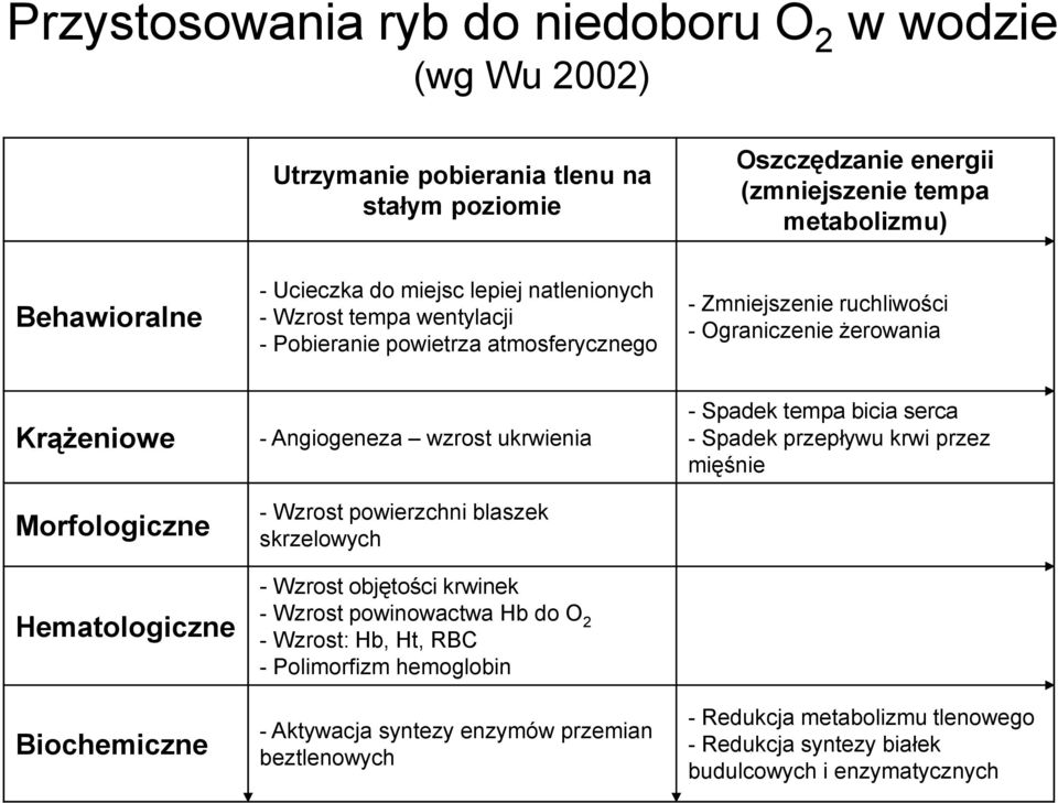 Biochemiczne - Angiogeneza wzrost ukrwienia - Wzrost powierzchni blaszek skrzelowych - Wzrost objętości krwinek - Wzrost powinowactwa Hb do O 2 - Wzrost: Hb, Ht, RBC - Polimorfizm hemoglobin