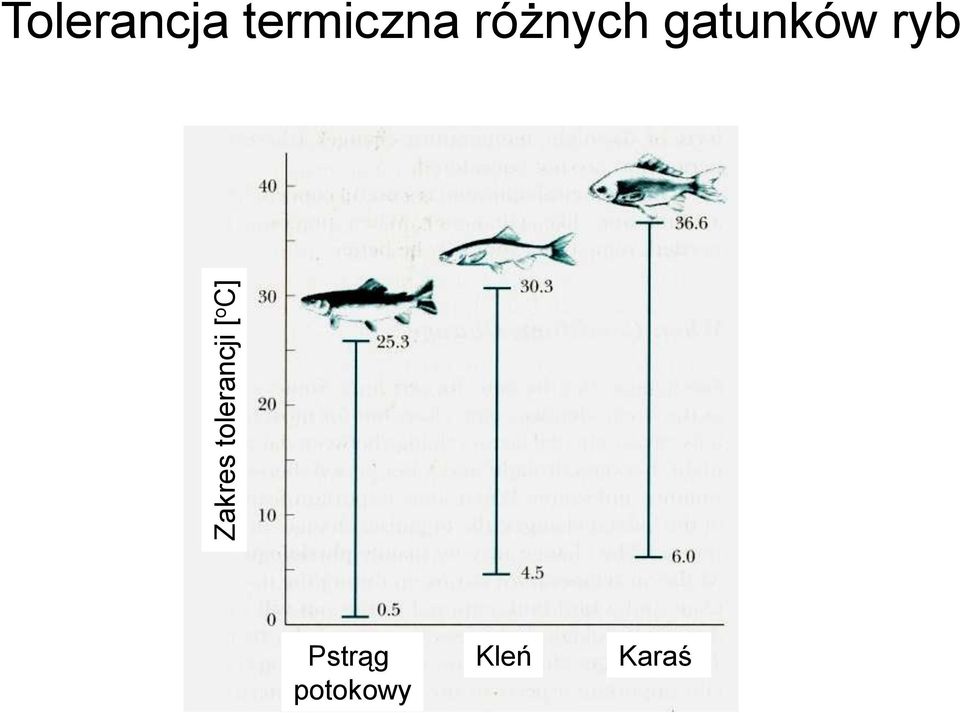 różnych gatunków ryb