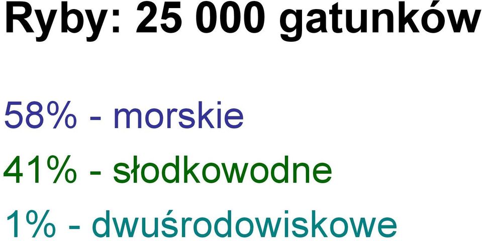 morskie 41% -