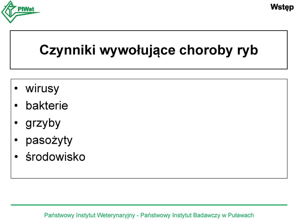 ryb wirusy