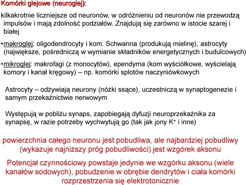 Schwanna (produkują mielinę), astrocyty (największe, pośredniczą w wymianie składników energetycznych i budulcowych) mikroglej: makrofagi (z monocytów), ependyma (kom wyściółkowe, wyścielają komory i