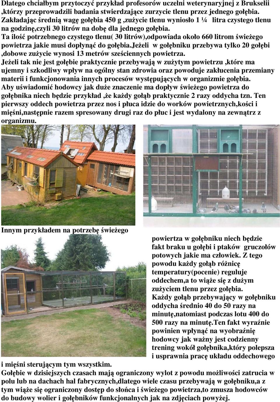 Ta ilość potrzebnego czystego tlenu( 30 litrów),odpowiada około 660 litrom świeżego powietrza jakie musi dopłynąć do gołębia.