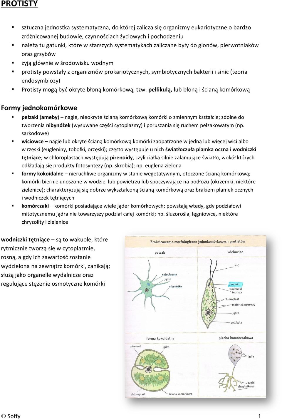 protisty powstały z organizmów prokariotycznych, symbiotycznych bakterii i sinic (teoria endosymbiozy)! Protisty mogą być okryte błoną komórkową, tzw.