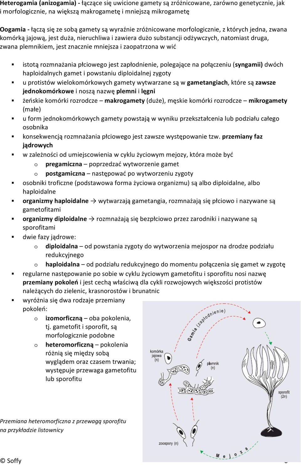 zaopatrzona w wić! istotą rozmnażania płciowego jest zapłodnienie, polegające na połączeniu (syngamii) dwóch haploidalnych gamet i powstaniu diploidalnej zygoty!