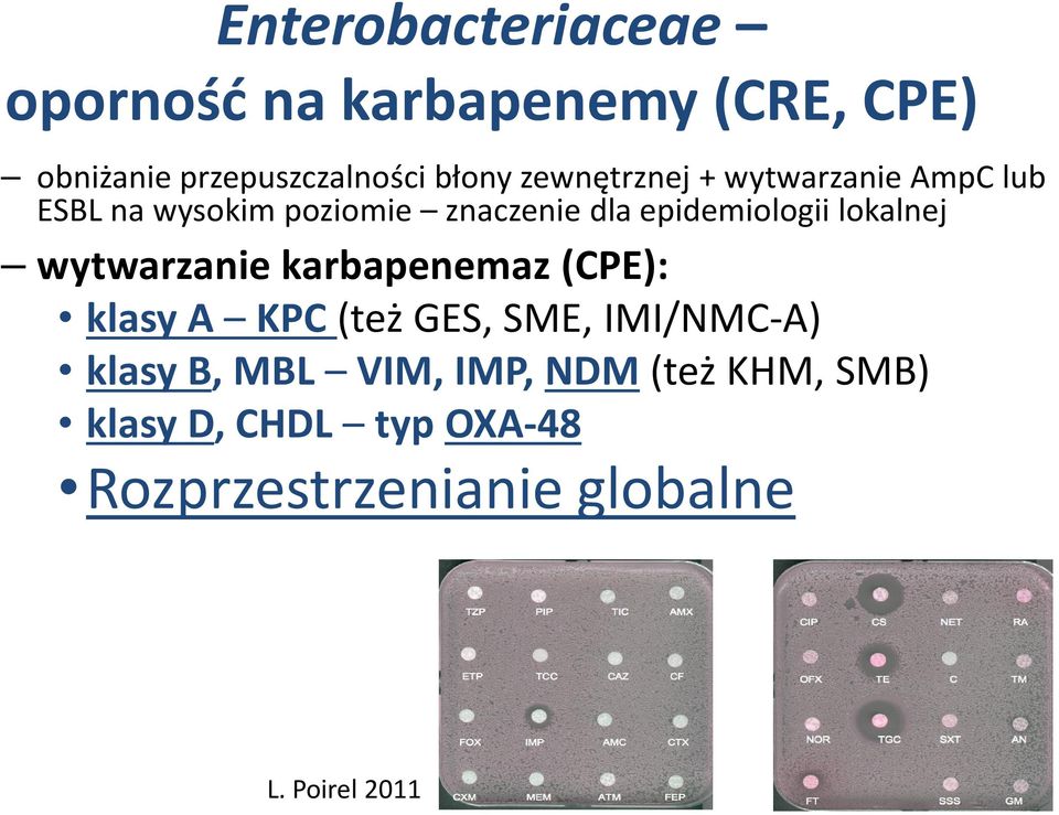 lokalnej wytwarzanie karbapenemaz(cpe): klasy A KPC(też GES, SME, IMI/NMC-A) klasy B,MBL