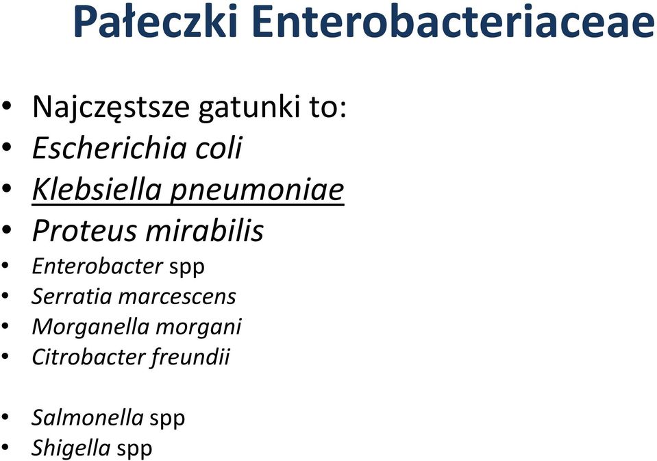 mirabilis Enterobacter spp Serratia marcescens