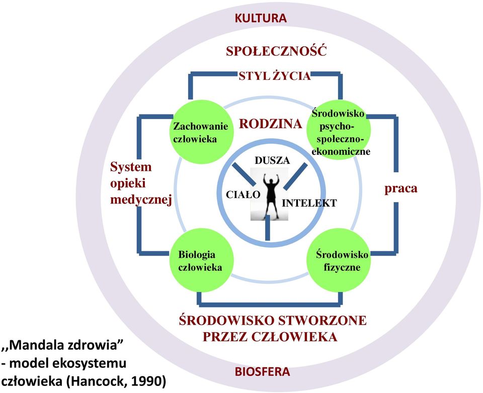 INTELEKT praca Biologia człowieka Środowisko fizyczne,,mandala zdrowia -