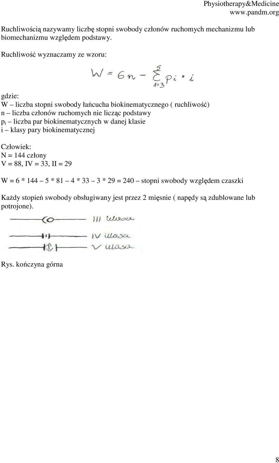 podstawy p i liczba par biokinematycznych w danej klasie i klasy pary biokinematycznej Człowiek: N = 144 człony V = 88, IV = 33, II = 29 W = 6