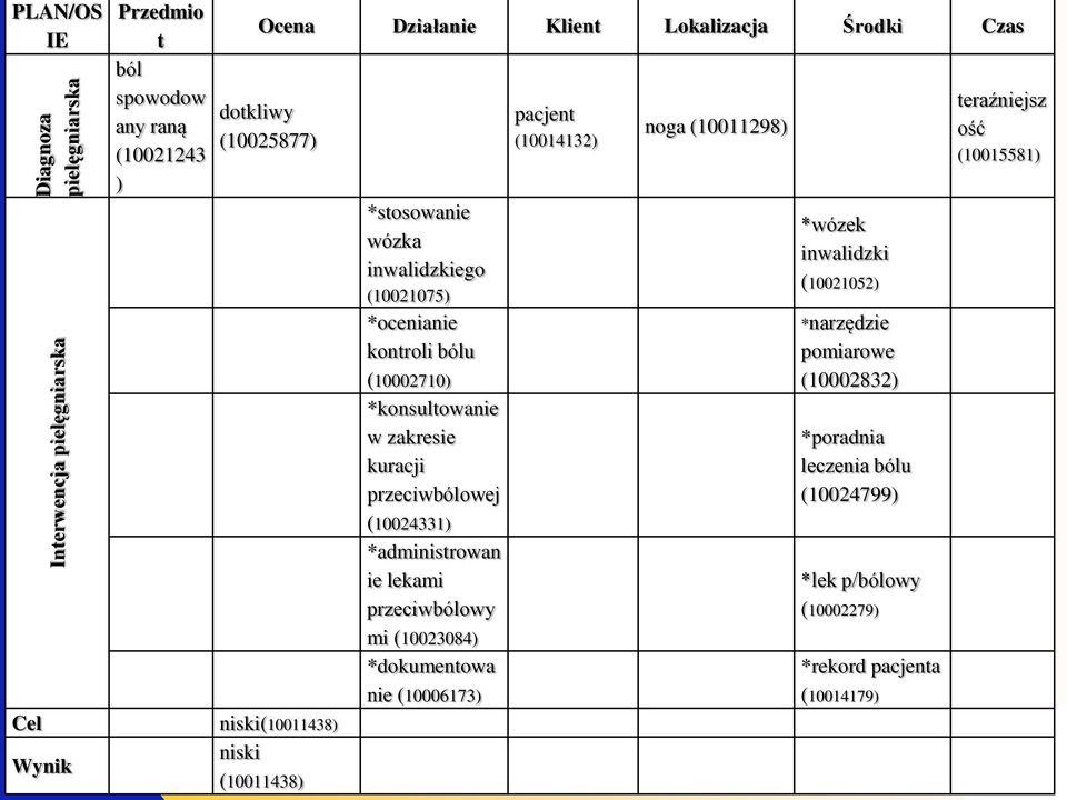 zakresie kuracji przeciwbólowej (10024331) *administrowan ie lekami przeciwbólowy mi (10023084) *dokumentowa nie (10006173) pacjent (10014132) noga (10011298)