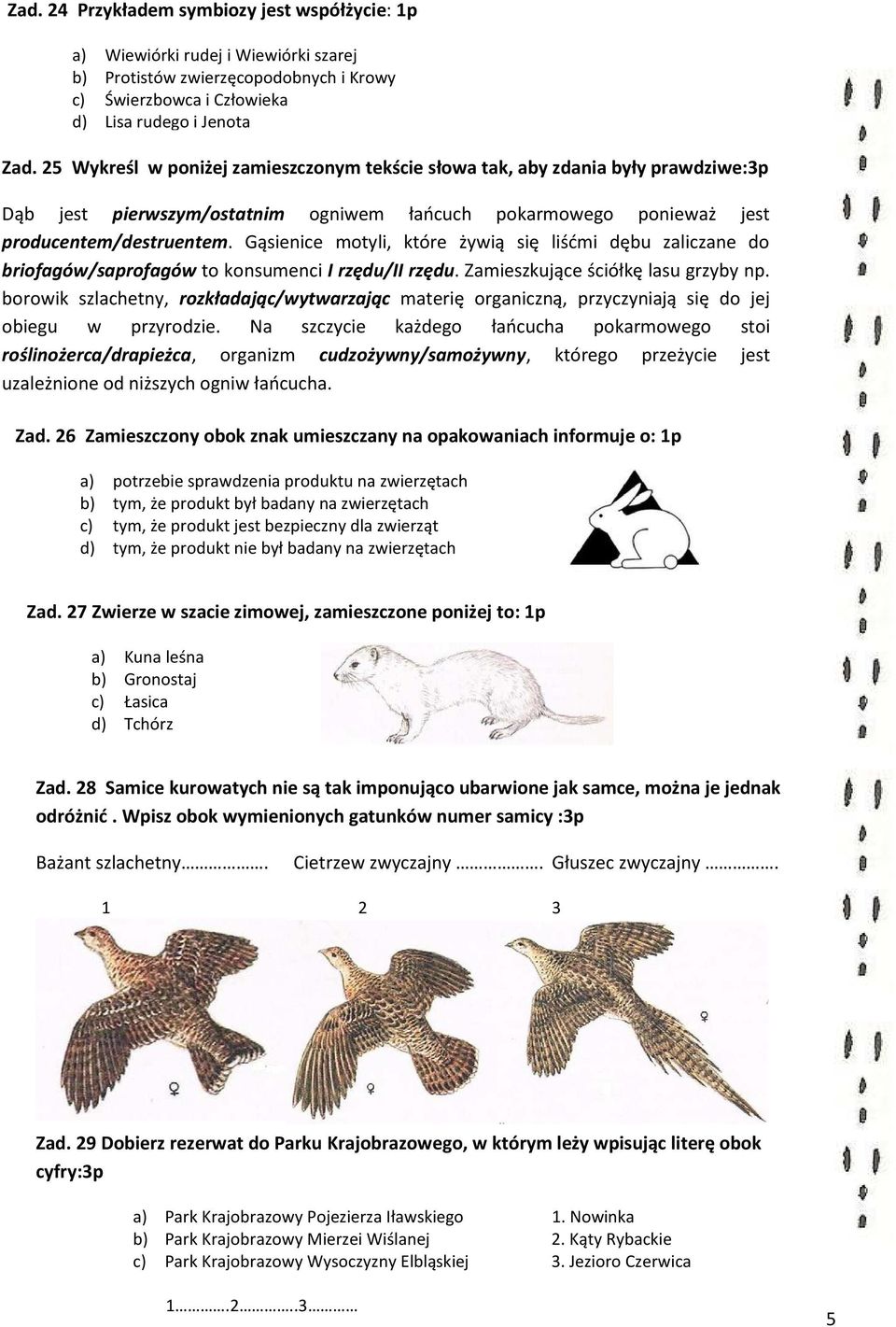 Gąsienice motyli, które żywią się liśćmi dębu zaliczane do briofagów/saprofagów to konsumenci I rzędu/ii rzędu. Zamieszkujące ściółkę lasu grzyby np.