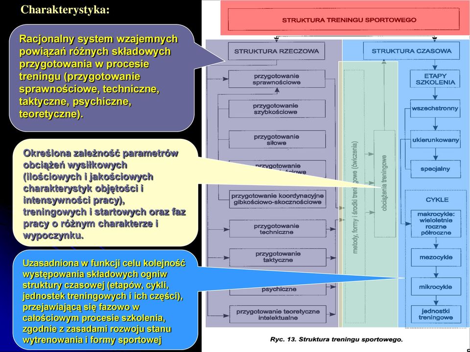 Określona zależność parametrów obciążeń wysiłkowych (ilościowych i jakościowych charakterystyk objętości i intensywności pracy), treningowych i startowych oraz faz