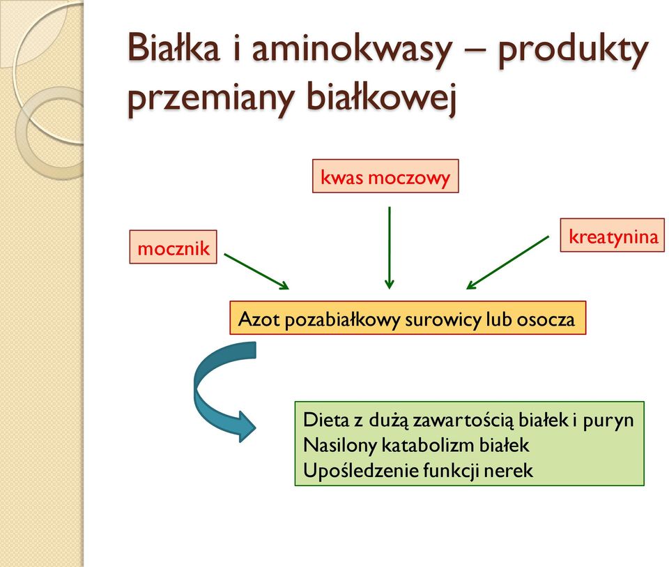 surowicy lub osocza Dieta z dużą zawartością białek