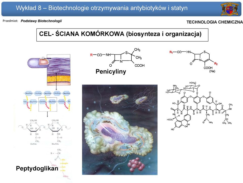 (biosynteza i