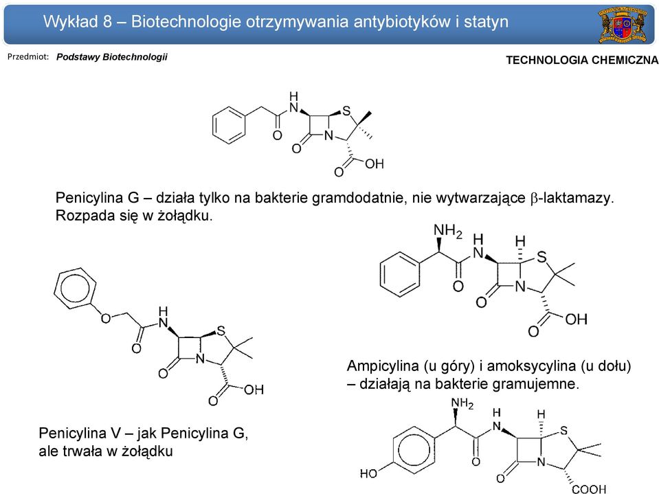 Ampicylina (u góry) i amoksycylina (u dołu) działają na