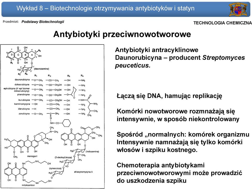 Łączą się DNA, hamując replikację Komórki nowotworowe rozmnażają się intensywnie, w sposób