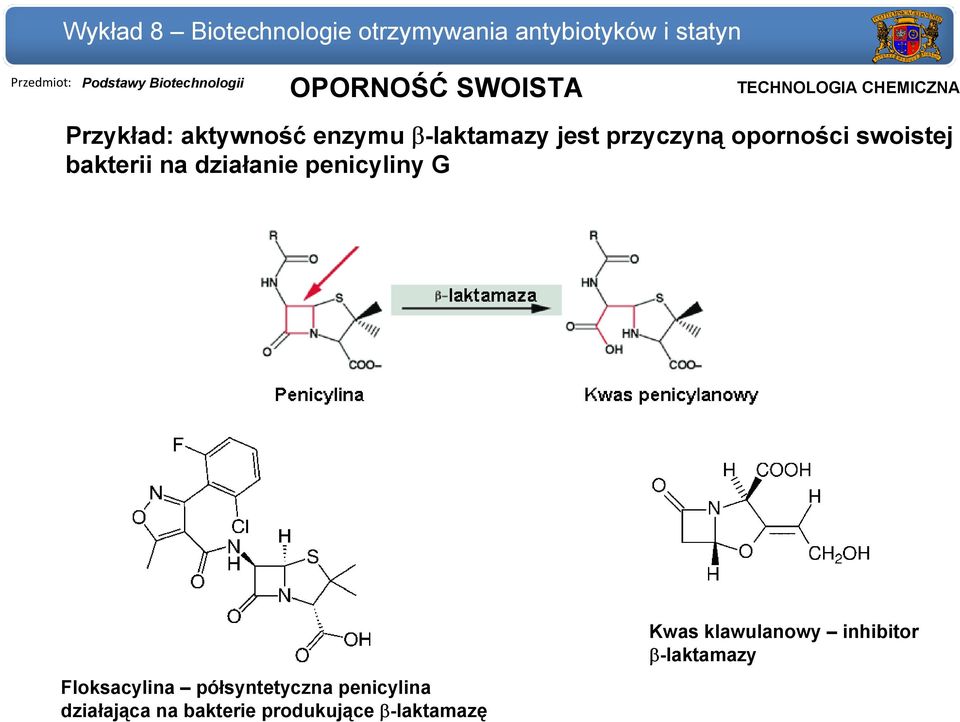 bakterii na działanie penicyliny G Floksacylina półsyntetyczna penicylina