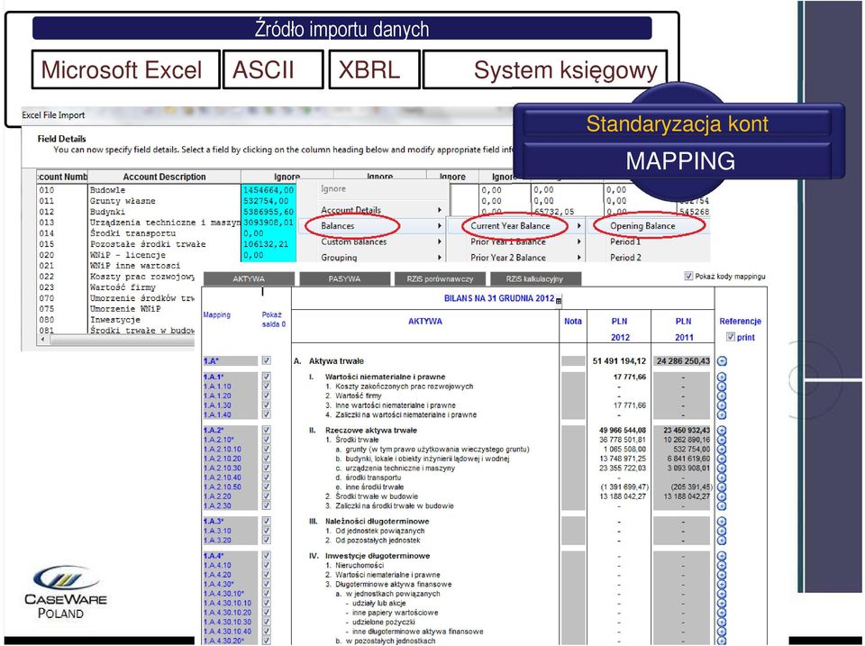 XBRL System księgowy