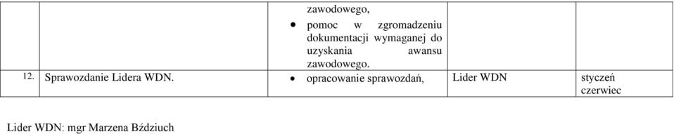 zawodowego. 12. Sprawozdanie Lidera WDN.