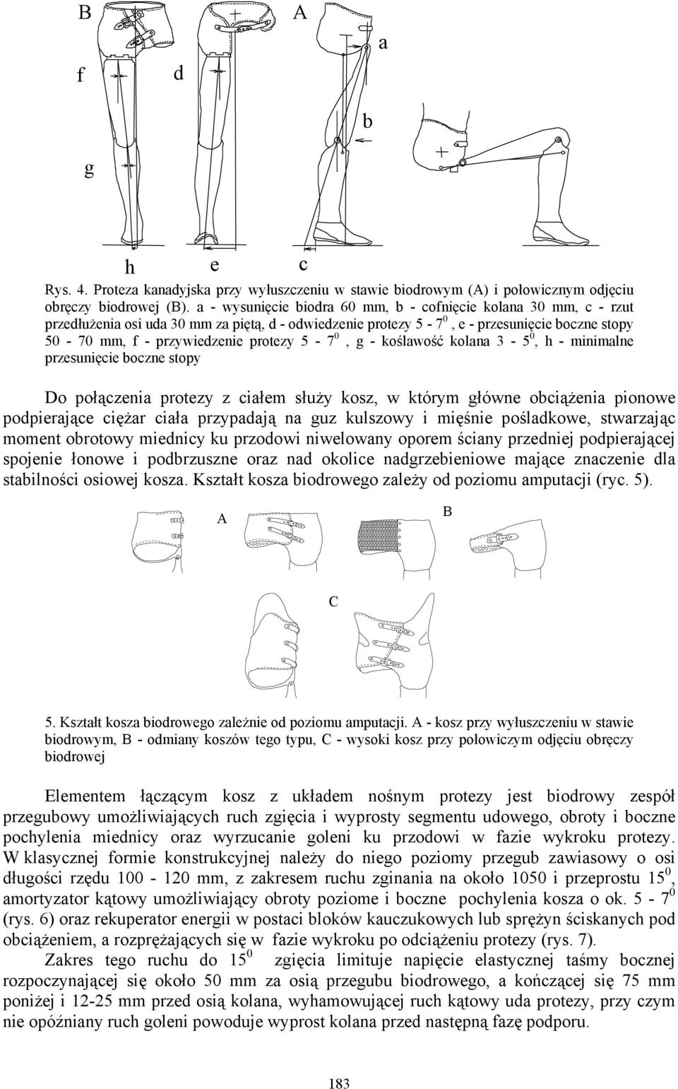 5-7 0, g - koślawość kolana 3-5 0, h - minimalne przesunięcie boczne stopy Do połączenia protezy z ciałem służy kosz, w którym główne obciążenia pionowe podpierające ciężar ciała przypadają na guz