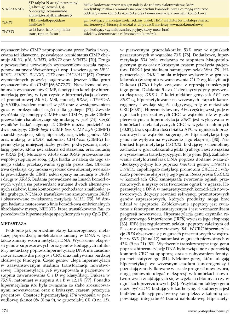 oraz komórka-macierz zewnątrzkomórkowa gen kodujący przedstawiciela rodziny białek TIMP, inhibitorów metaloproteinaz macierzowych biorących udział w degradacji macierzy zewnątrzkomórkowej gen