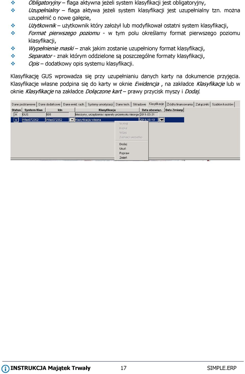 klasyfikacji, Wypełnienie maski znak jakim zostanie uzupełniony format klasyfikacji, Separator - znak którym oddzielone są poszczególne formaty klasyfikacji, Opis dodatkowy opis systemu klasyfikacji.