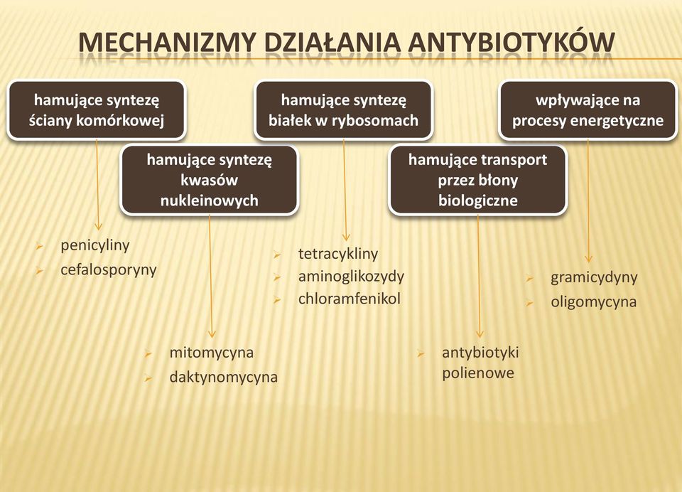 nukleinowych hamujące transport przez błony biologiczne penicyliny cefalosporyny