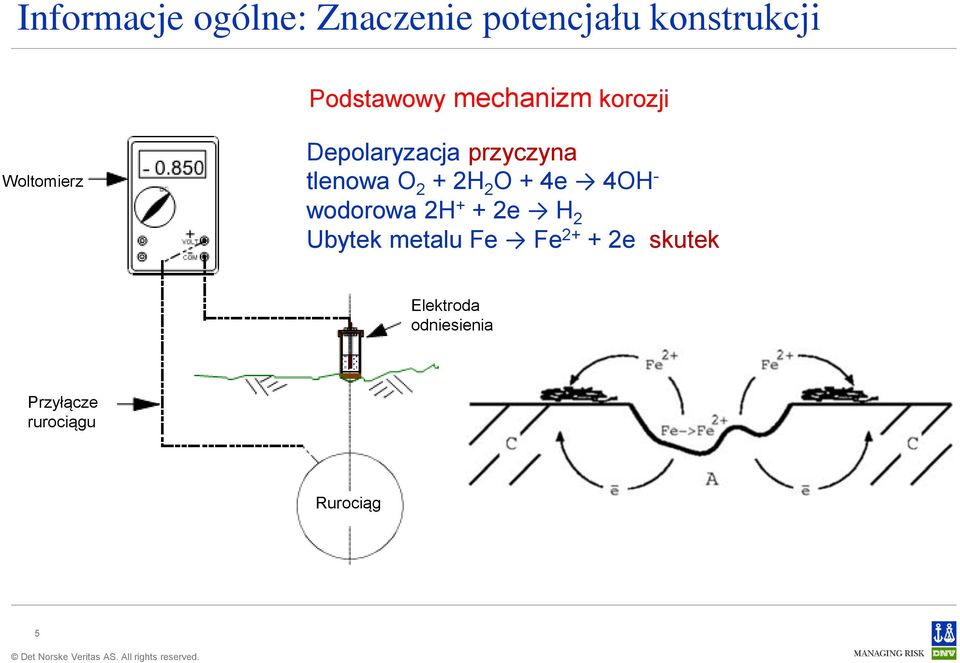 + 2H 2 O + 4e 4OH - wodorowa 2H + + 2e H 2 Ubytek metalu Fe Fe